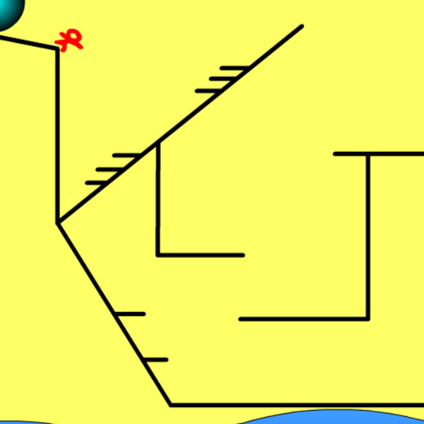 Animation