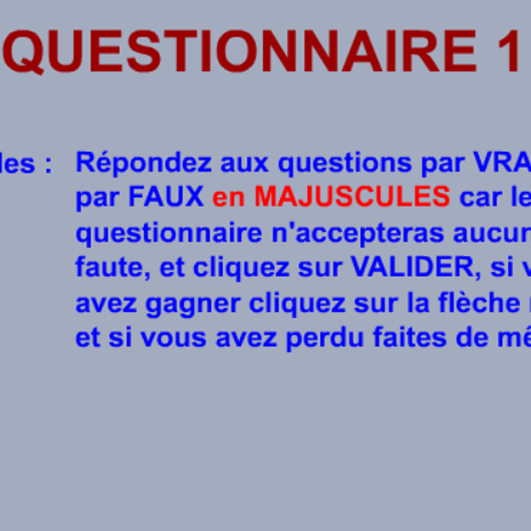 Questionnaire