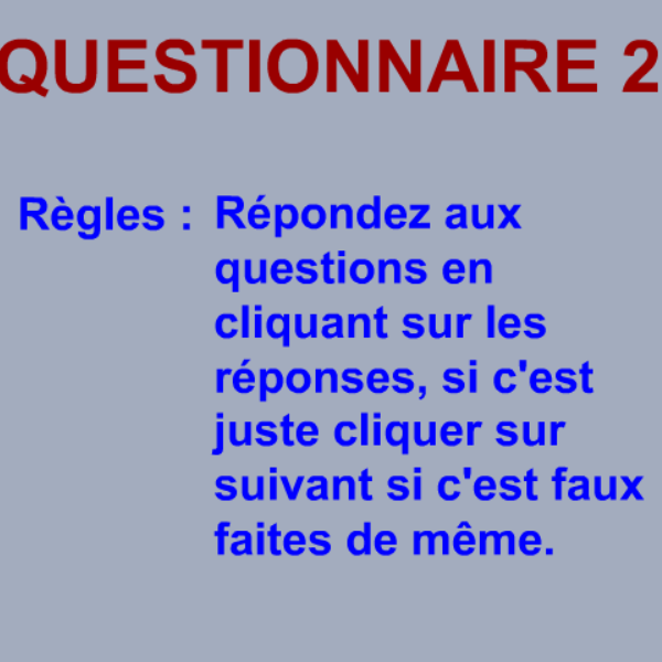 Questionnaire