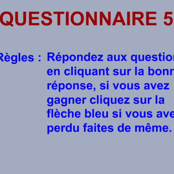 Questionnaire