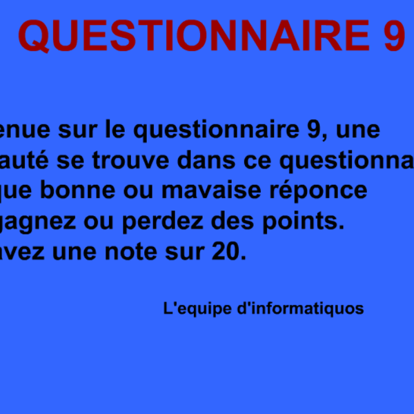Questionnaire